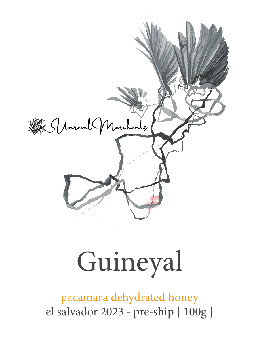 Guineyal: Pacamara Dehydrated Honey