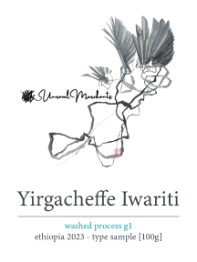 Yirgacheffe: Iwariti Washed G1 - 2023